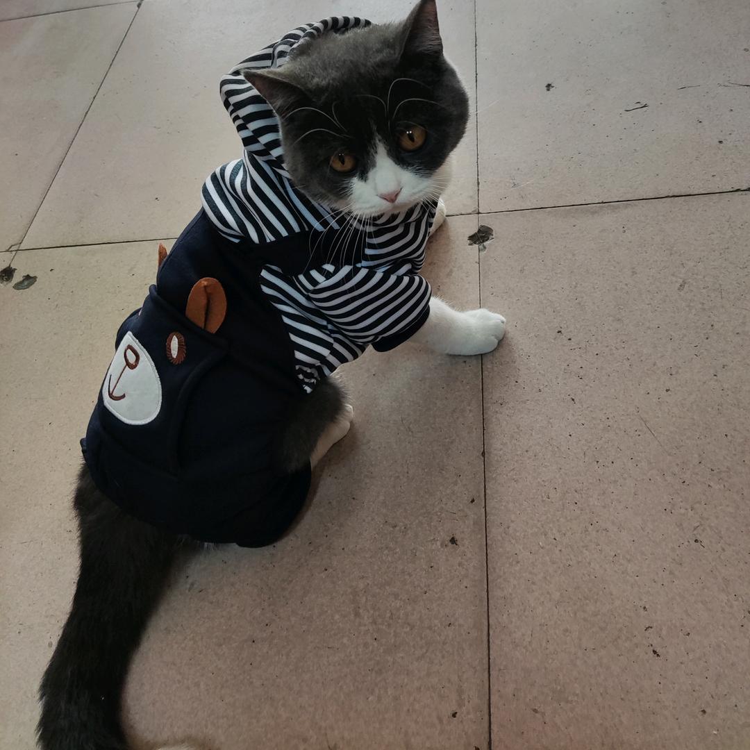 足立健修脚堂官方号