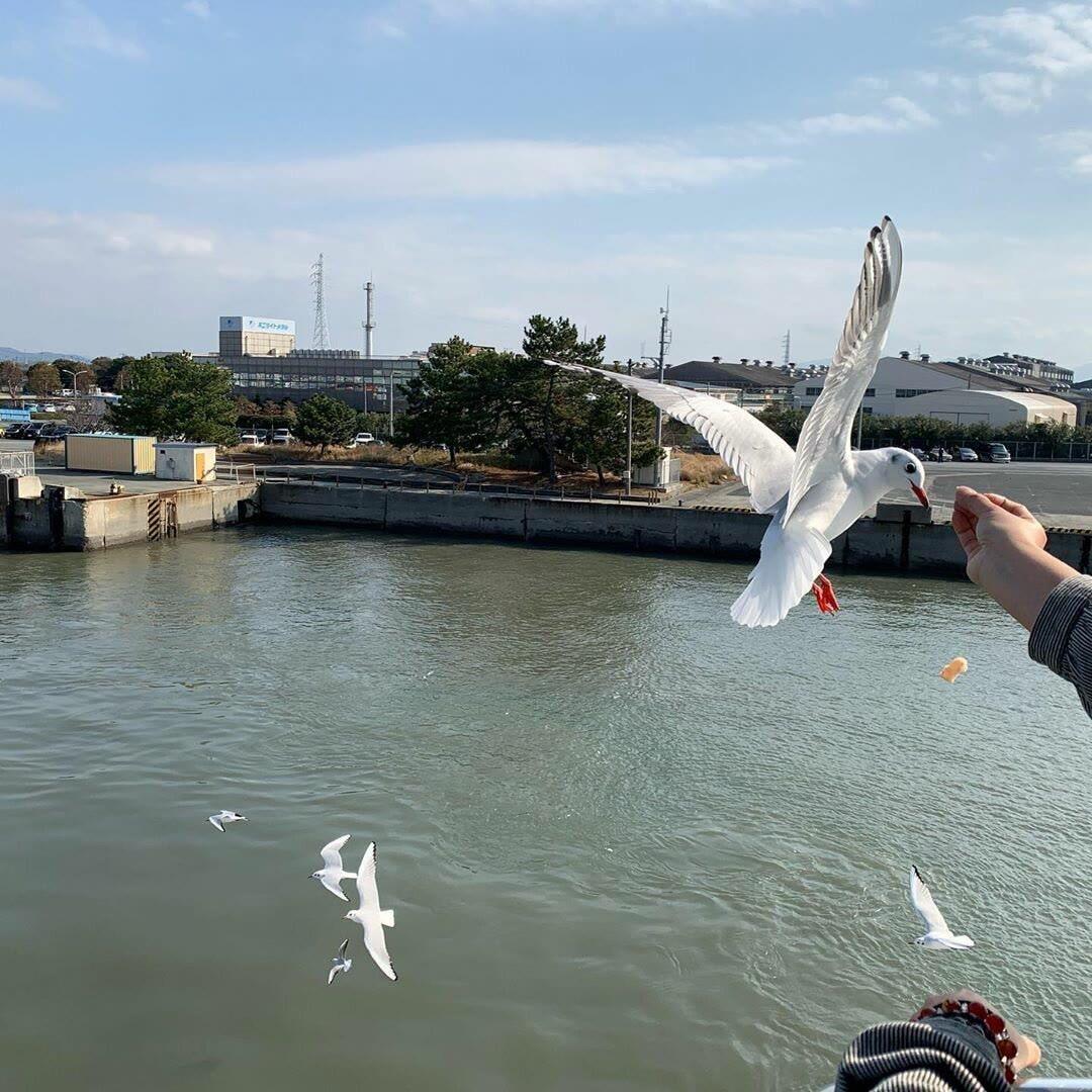 屯昌智蟹商贸有限公司管理号