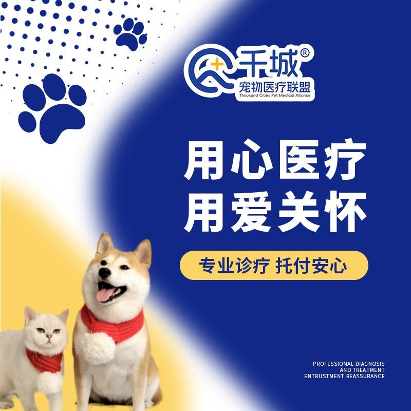 千城·恒爱宠物医院（光明店）