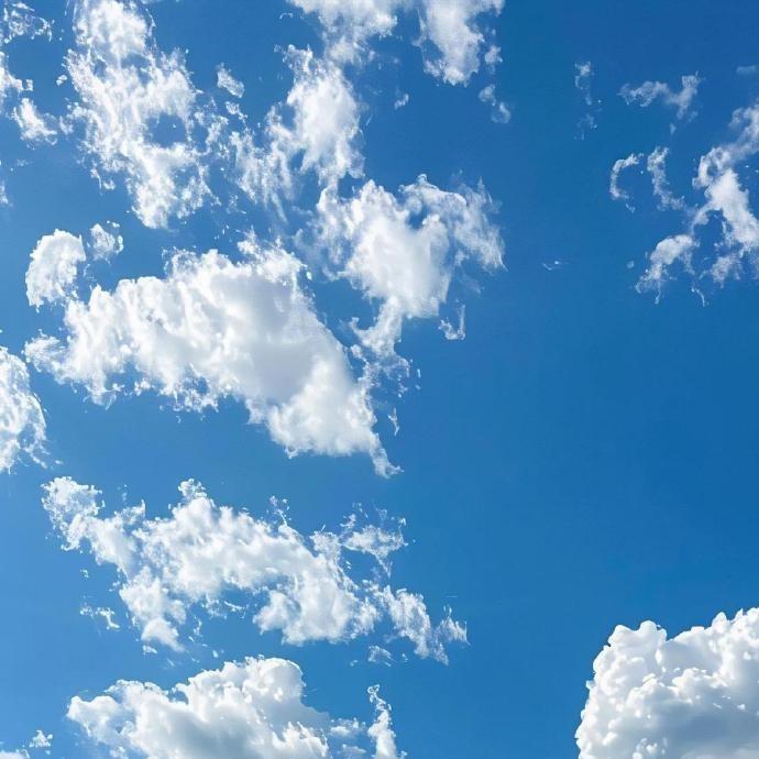 鑫金传媒直播号