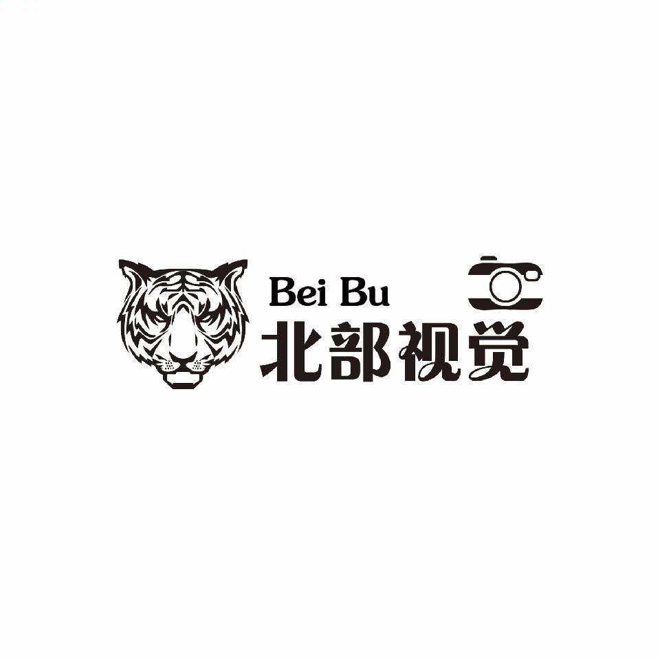 北部视觉