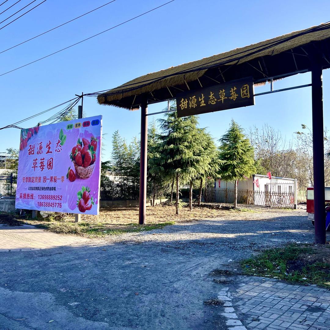甜源生态草莓园