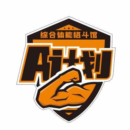 A计划综合体能格斗