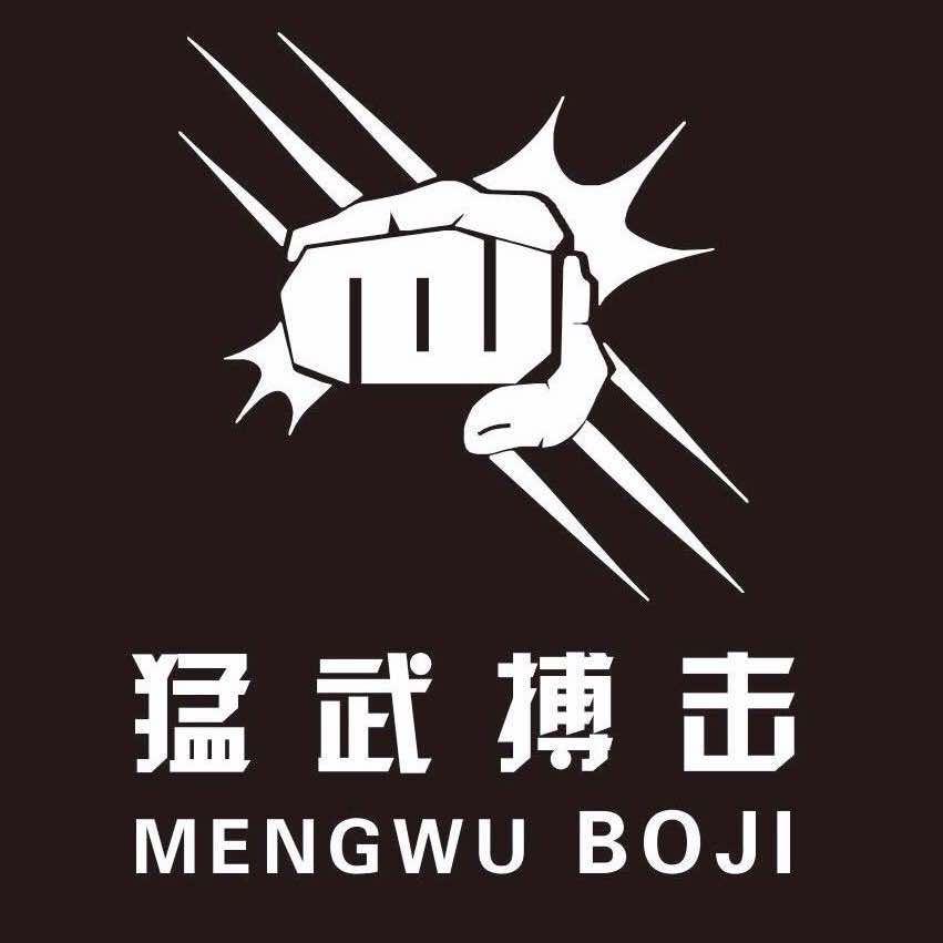 猛武搏击（只教实战技术）
