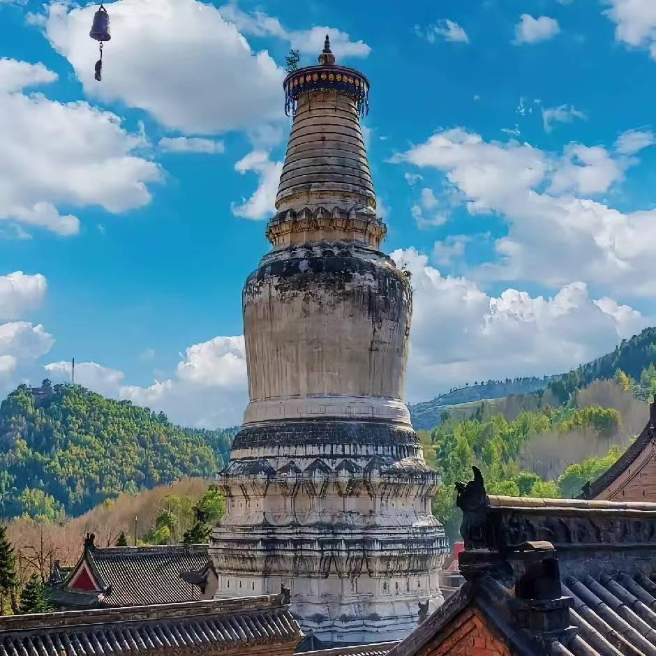 飞博五台山爱莲经营