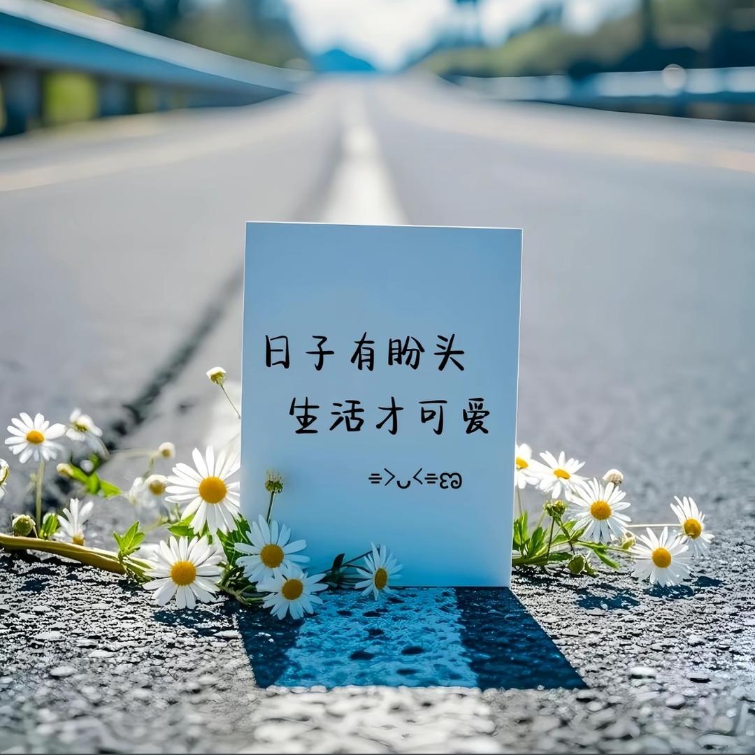 工厂直销直播号