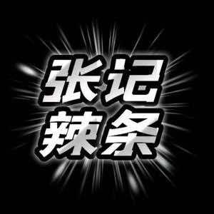 张记手工麻辣条