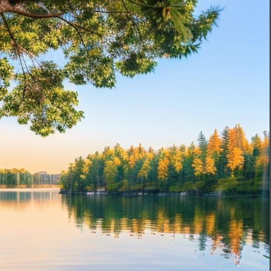 锡林浩特市房天下有限公司