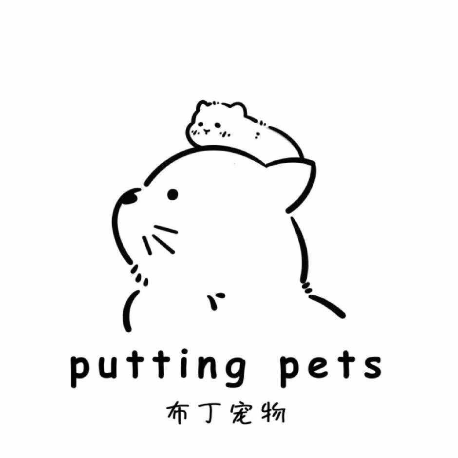 布丁宠物  猫咪洗护•小宠出售