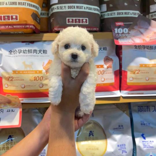 长沙市望城区觅乐宠物用品店