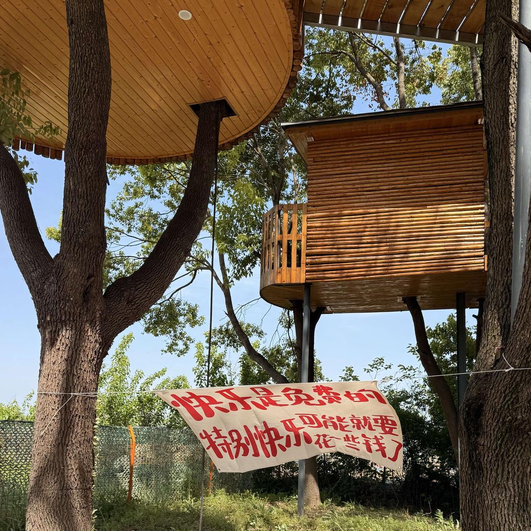 我有一个树屋计划🏠