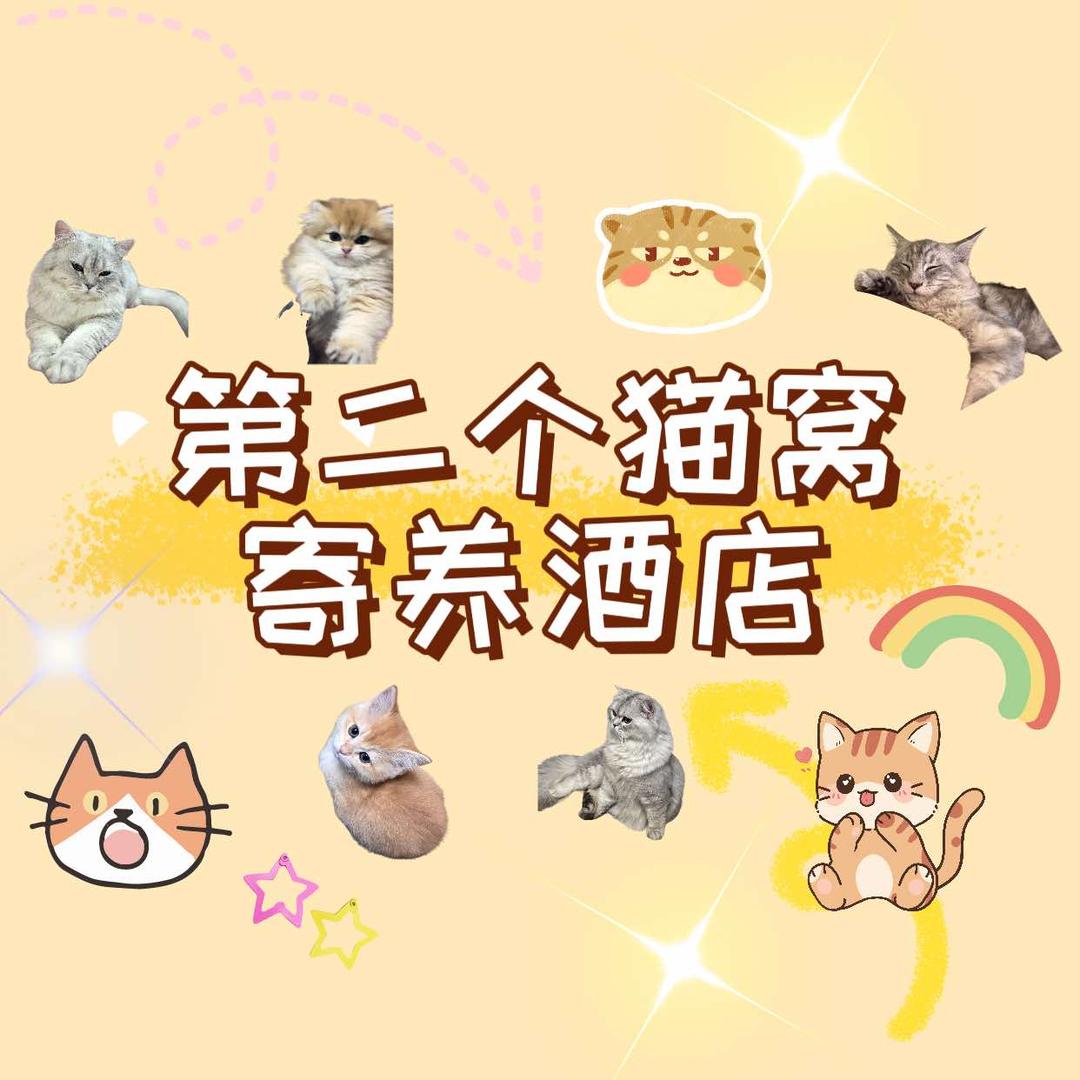 第二个猫窝