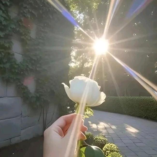 典祁