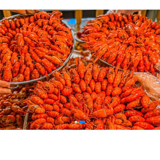 🦐时代小龙🦐