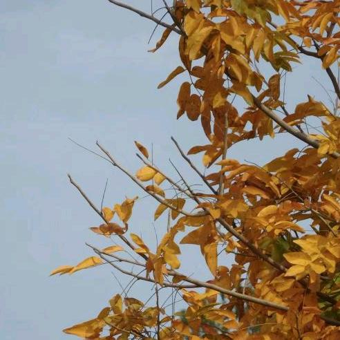 章贡区竹禾饮品店