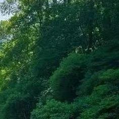 太原市好友文体用品宠粉号