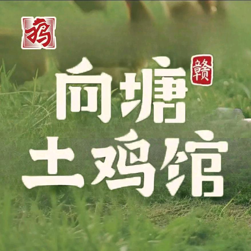 向塘土鸡(福州路总店)