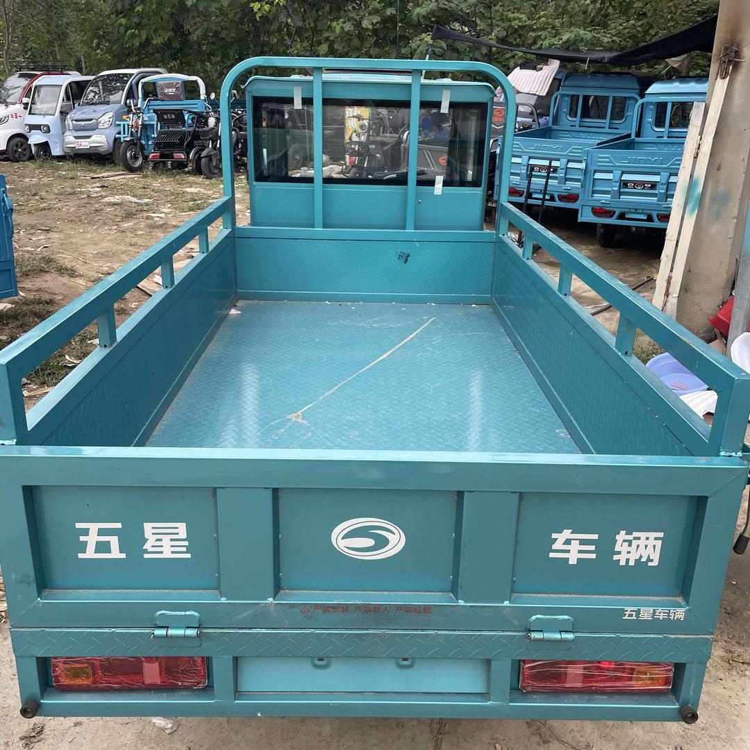 老野毛[11]二手电动车