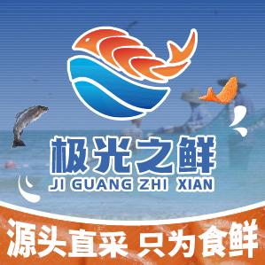 极光之鲜三文鱼生腌