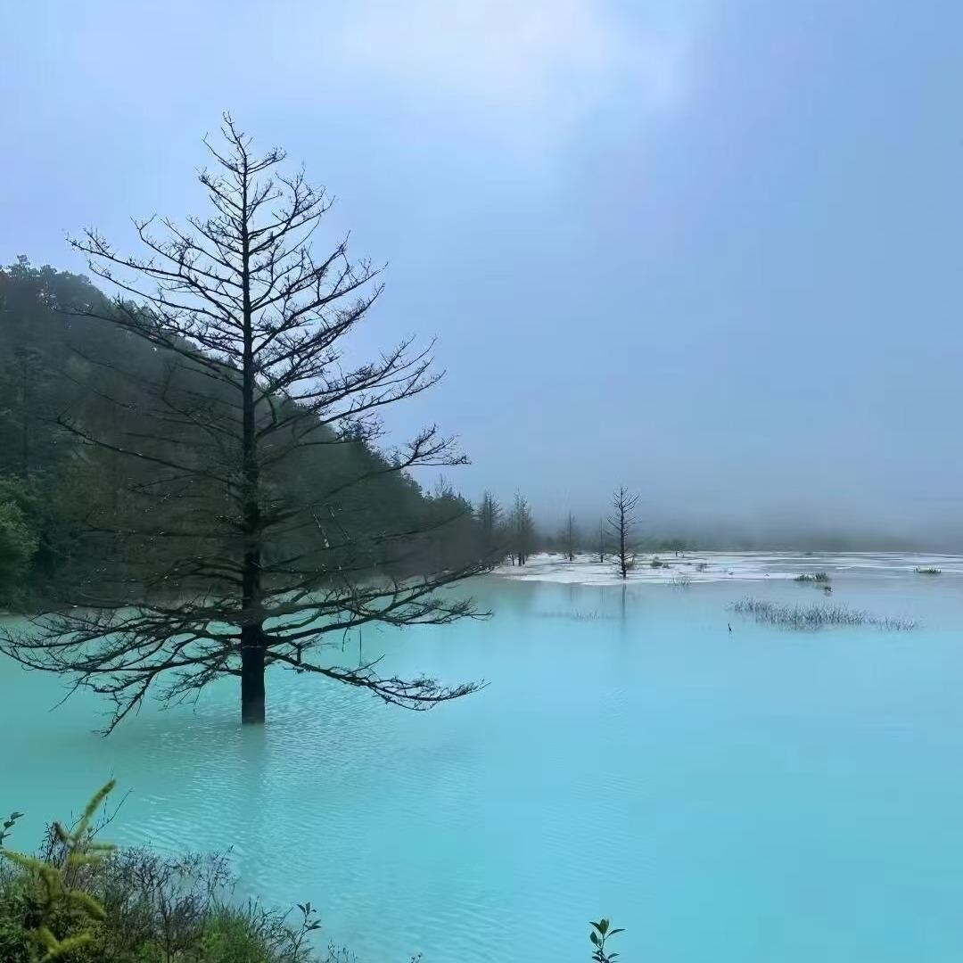 干河坝官方号