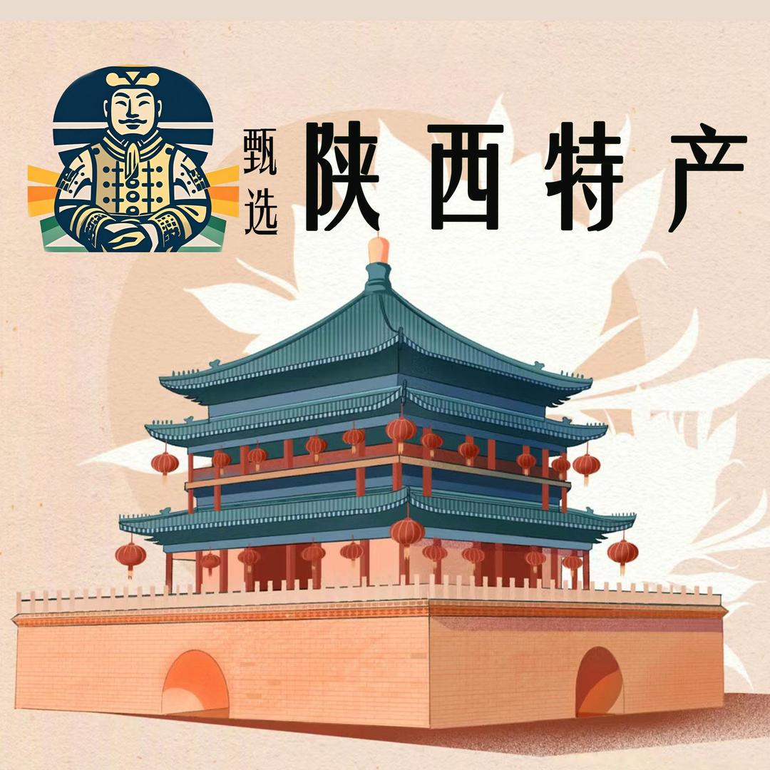 甄选陕西特产官方号