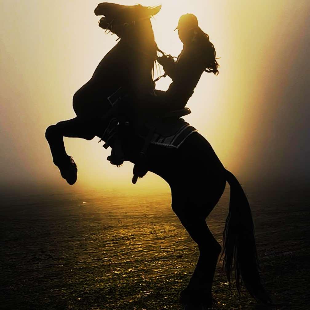 传程野骑俱乐部官方号