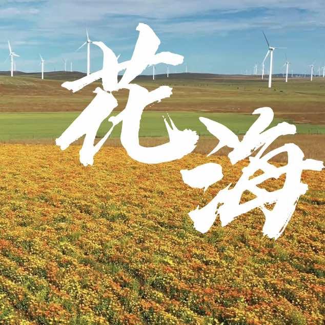 辉腾锡勒草原花海