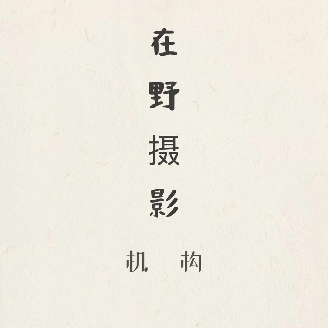 在野摄影机构
