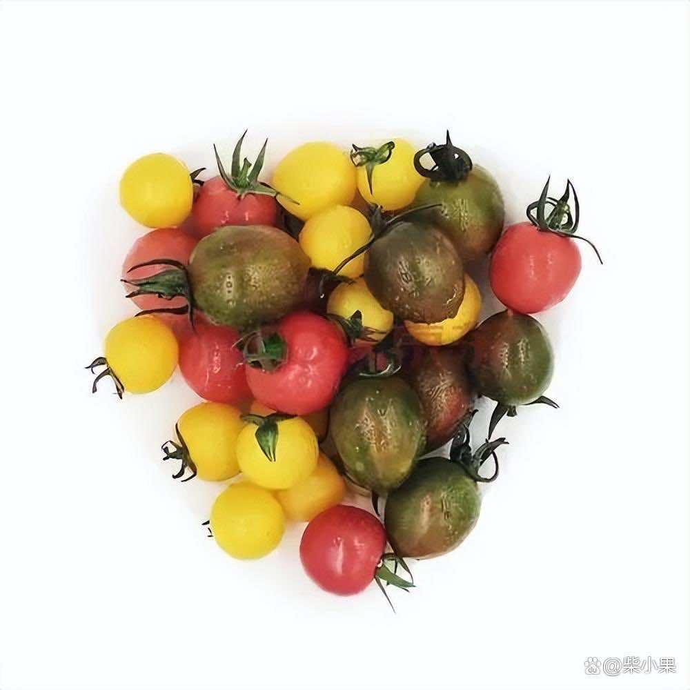 跑跑马特采摘园