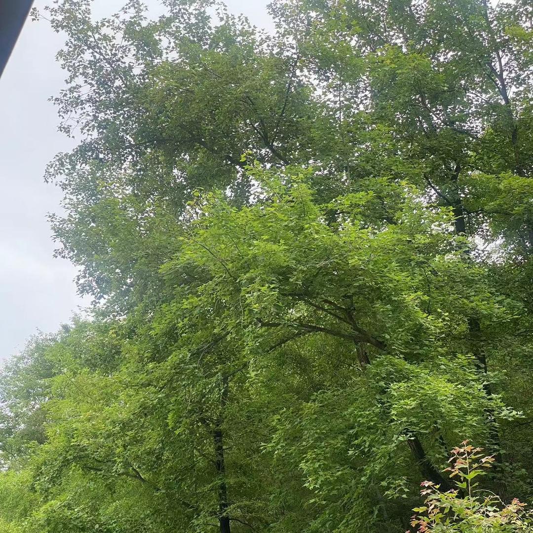 小雯五金建材(腾龙大道店)武汉市正归信息咨询有限公司公司直播号