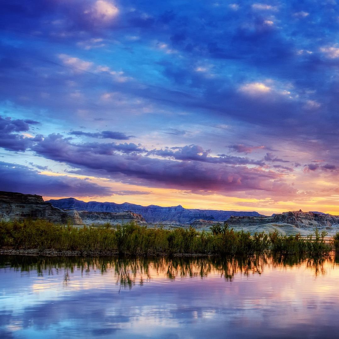 广州公杉科技直播号