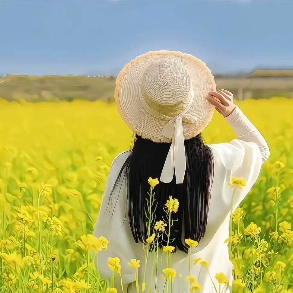 灵迅电脑赋楷--------宠粉号