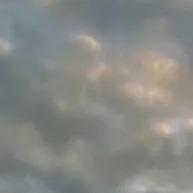 尊世情怀於惟网络66直播号