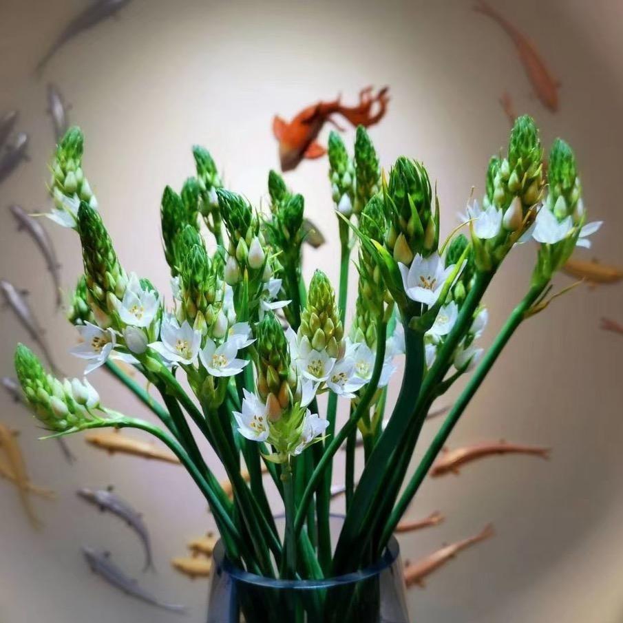 七彩云南百货大楼店李海娟