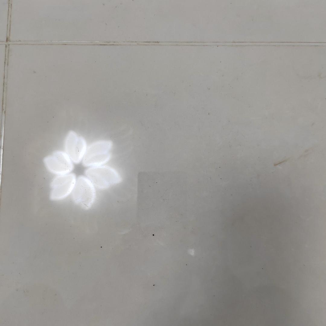 不折叠喔直播号