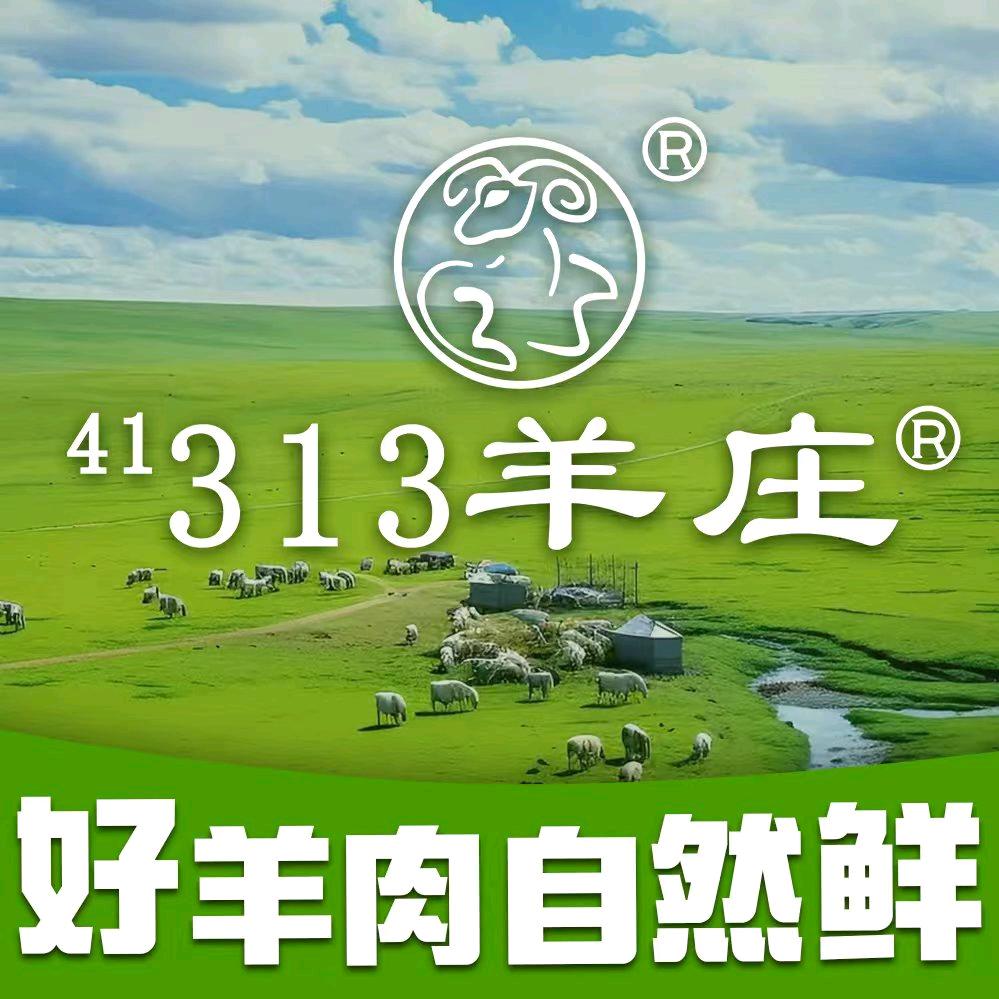 滁州313羊庄凤凰西路店