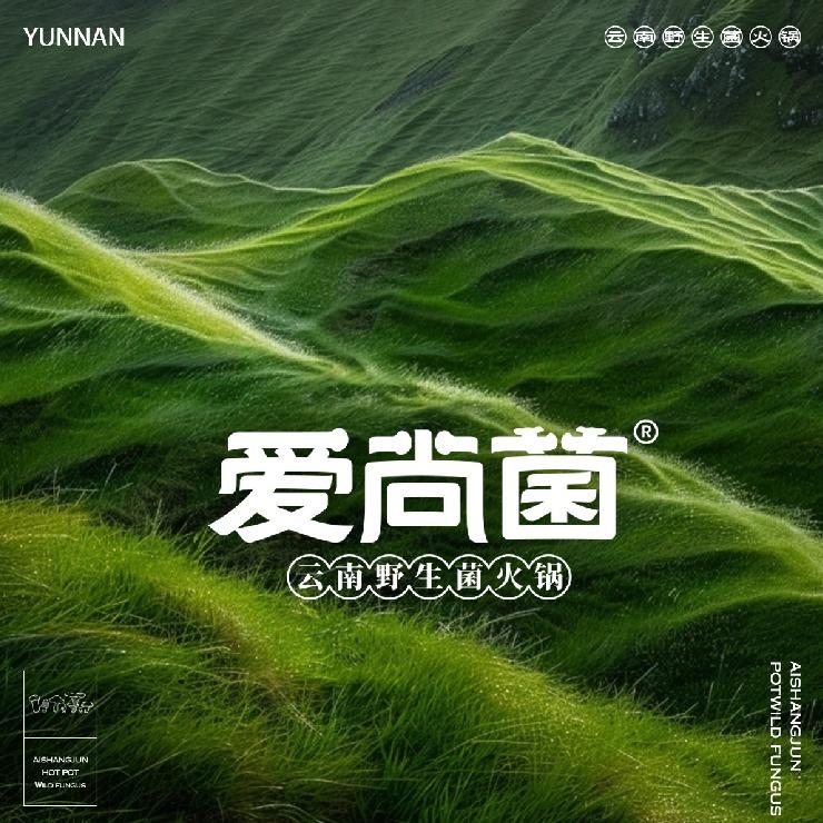爱尚菌·云南野生菌火锅（昆明老街店）
