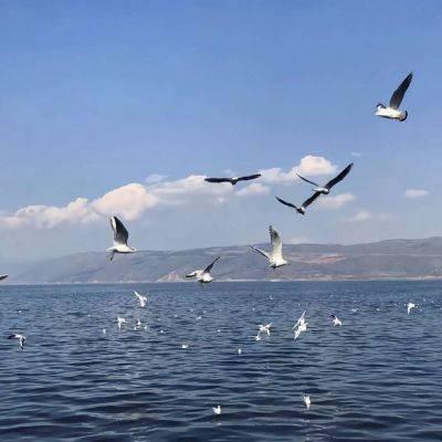 2平米学习直播间