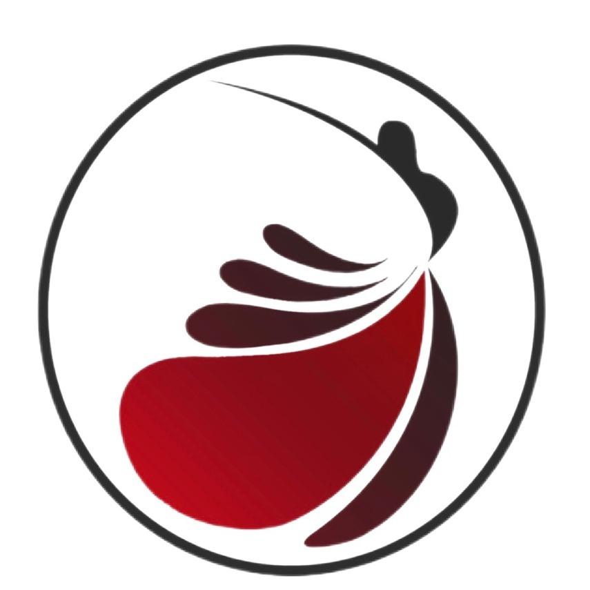 关莉艺术教育