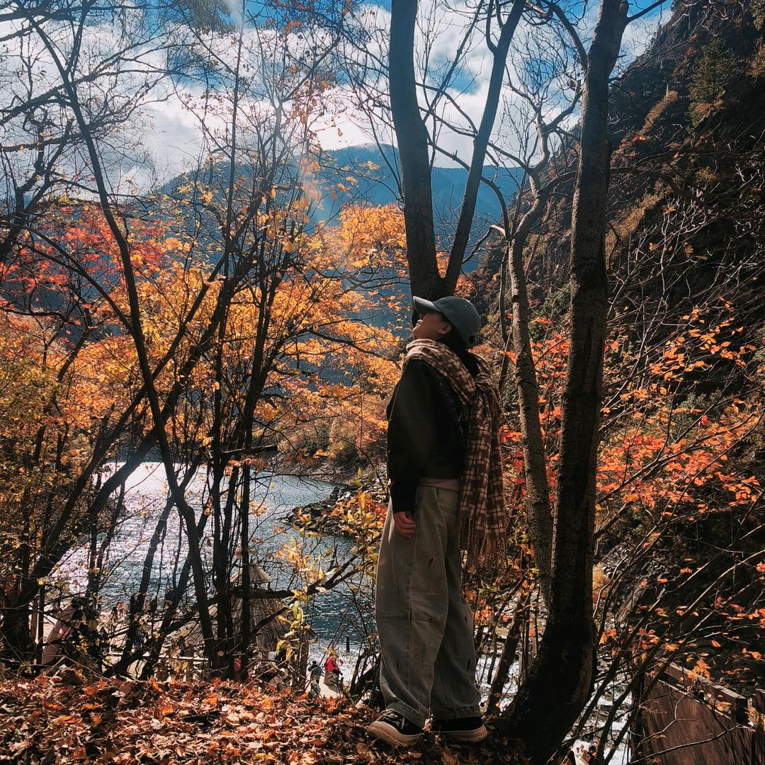 发道养生馆(北城映像店)官方号