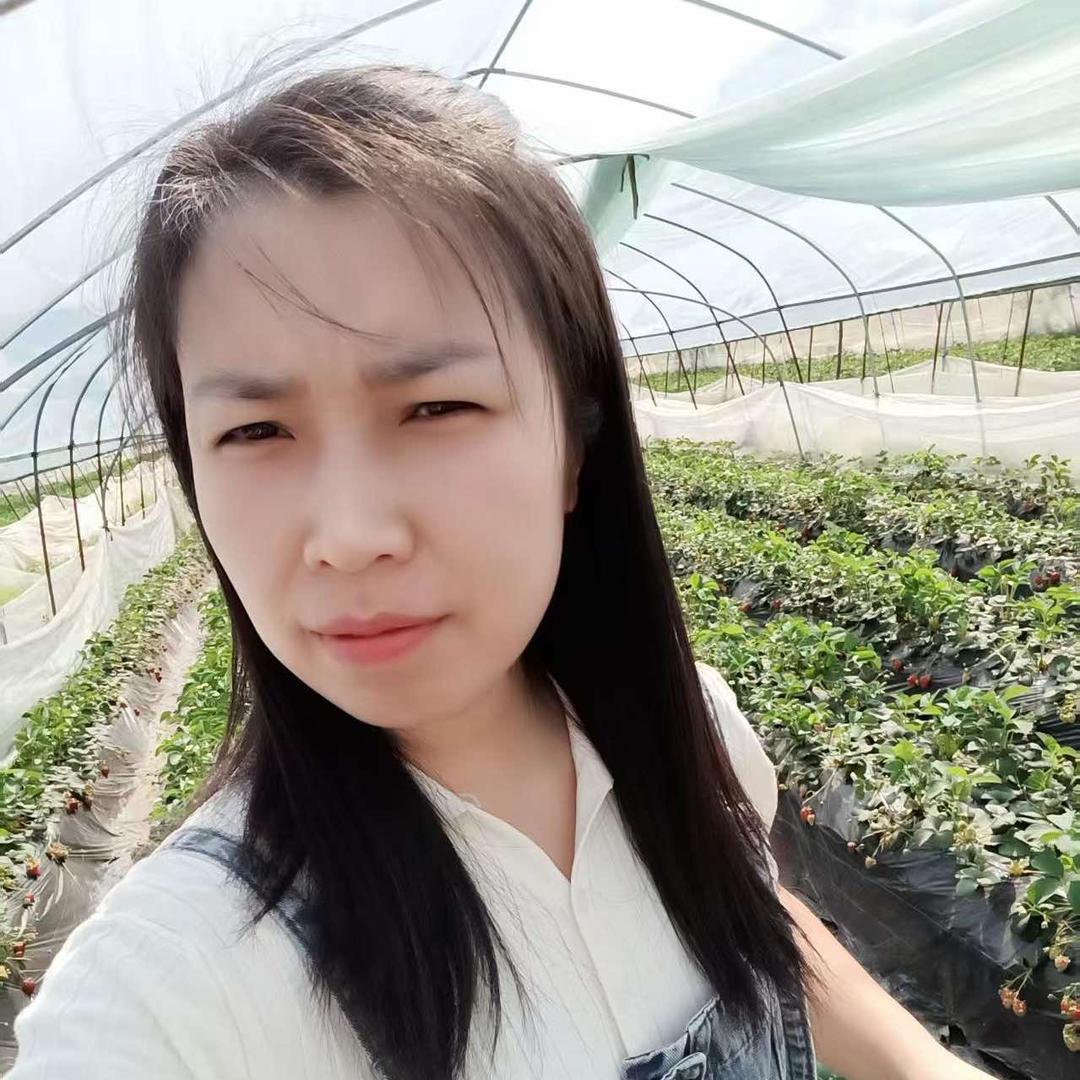 娜子荞面条高粱汤圆官方号