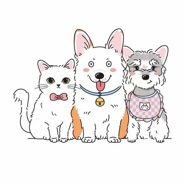 猫狗客栈宠物店官方号