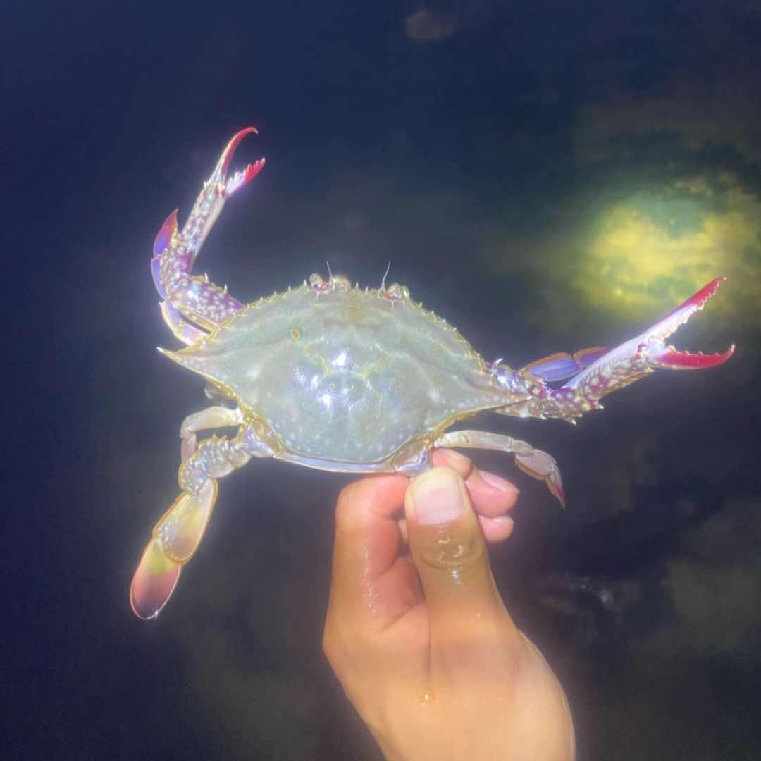 小明专业赶海（日照赶海带队）