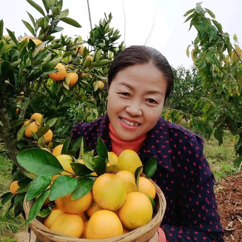 昆明樱桃小院欣颖农场