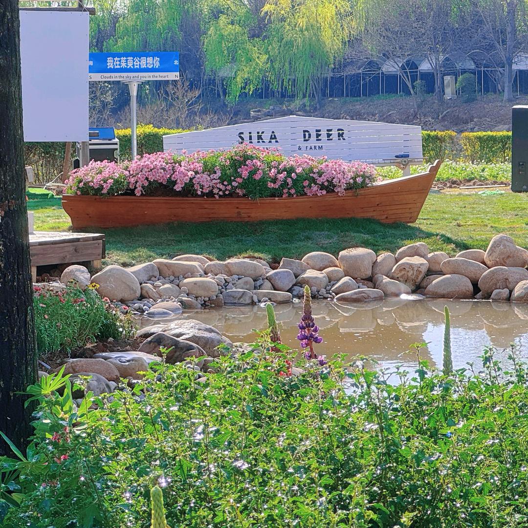徐州茱萸谷莫奈花园