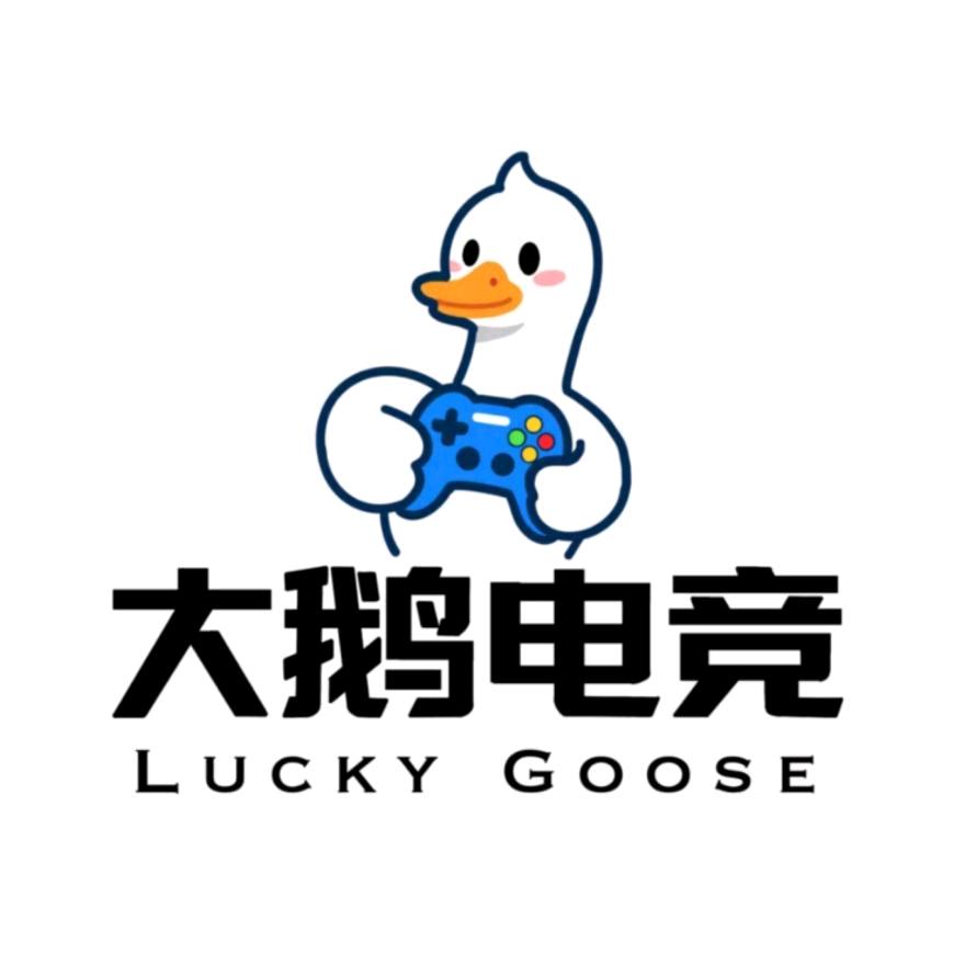 大鹅电竞(财富中心店)官方号