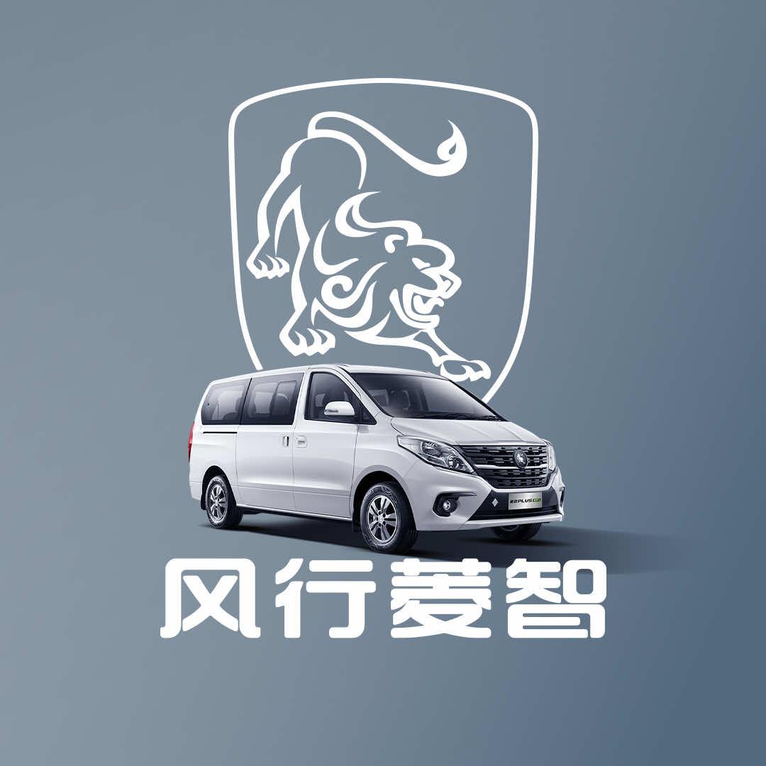 风行星海南通永达