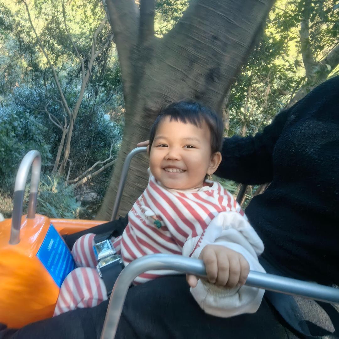 南海湾森林生态园-大麦