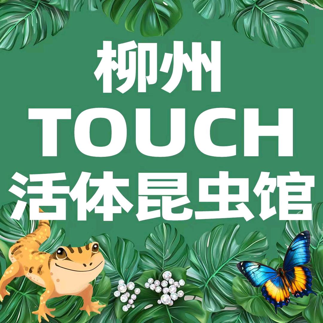 TOUCH活体昆虫馆(地王店)官方号