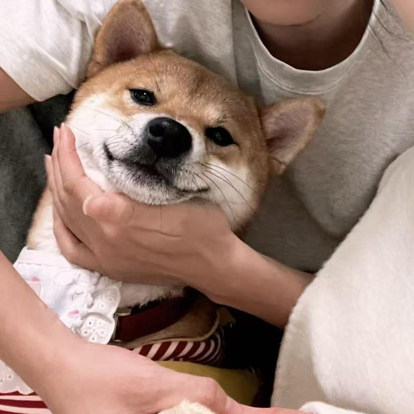晓昱（相约）
